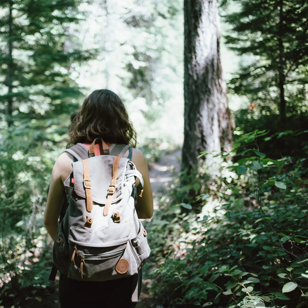 Excursionista de espaldas con mochila caminando por un bosque