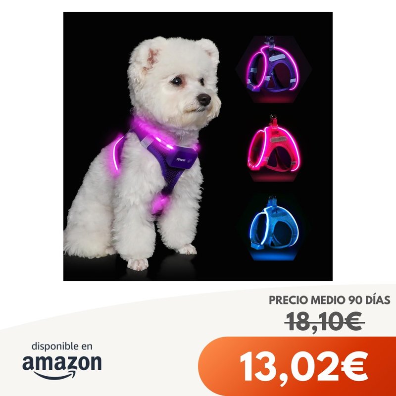 Arnés con Luces LED Recargable